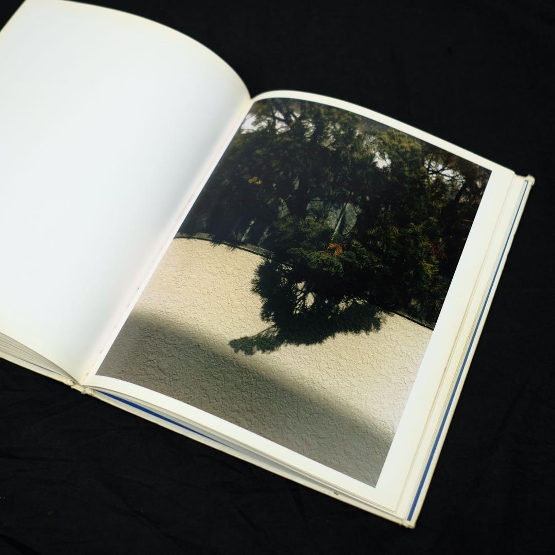 Sgapes of Blooming Chikashi Suzuki 鈴木親 - メルカリ