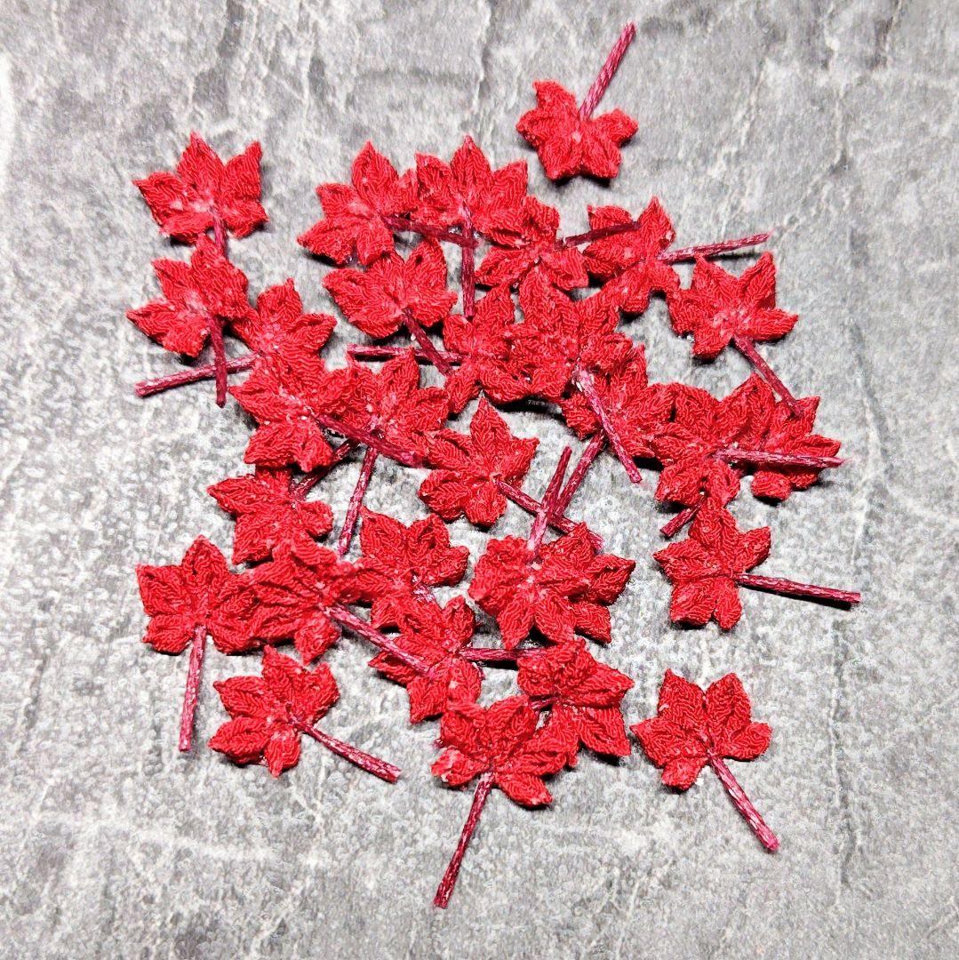 フィオーナ様確認ページ