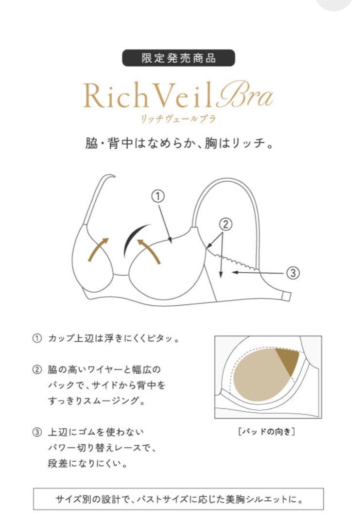 BTJ494｜ワコール サルート 94G ブラジャー単品 VIVA LINE