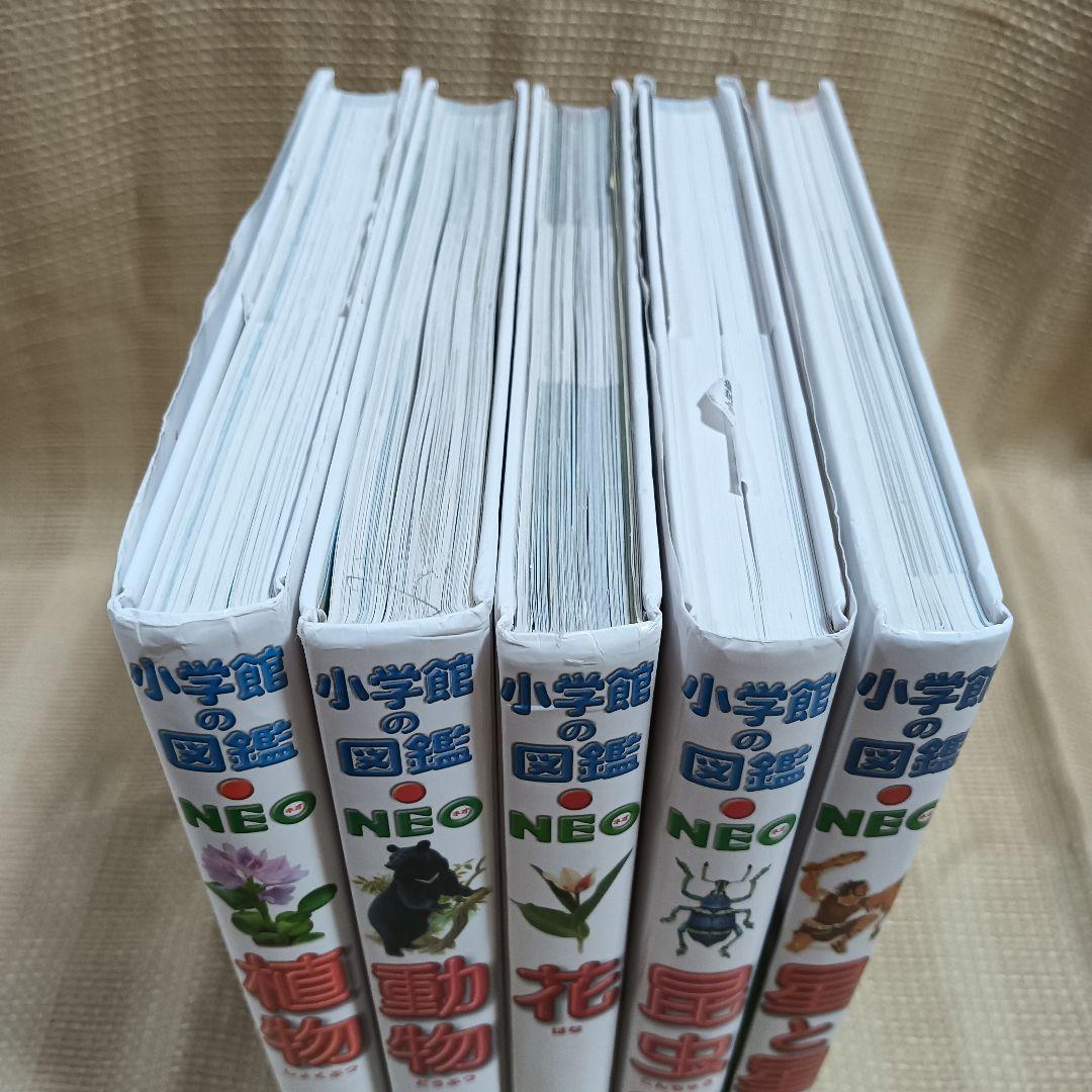 小学館の図鑑NEO 12巻 DVD無し　セット　まとめ売り 小学館の図鑑NEO ネオ 5冊セット【DVD無し】 - メルカリ