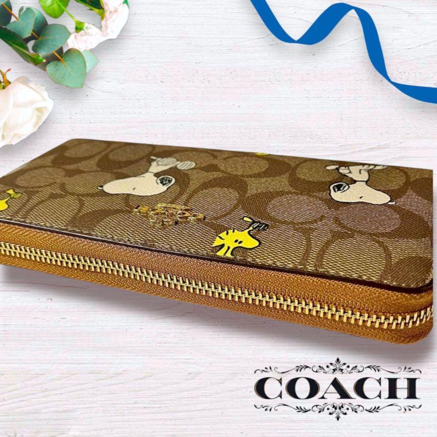 えり　　COACH PEANUTS シグネチャー スヌーピー 長財布
