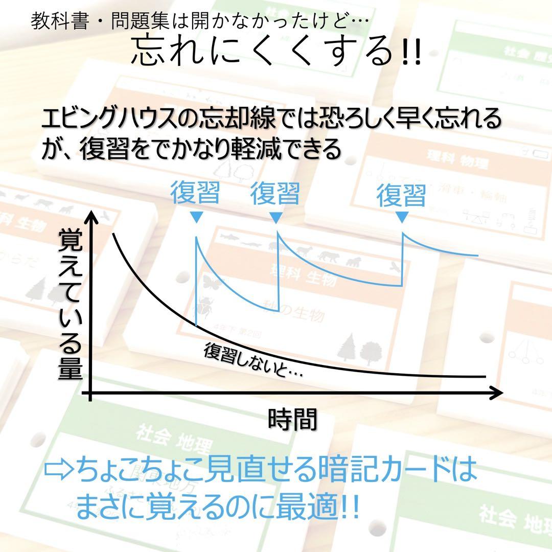 中学受験【4年上ハーフセット 社会・理科11-19回】組分けテスト対策 予シリ 中学受験【4年上ハーフセット 社会・理科11-19回】組分けテスト