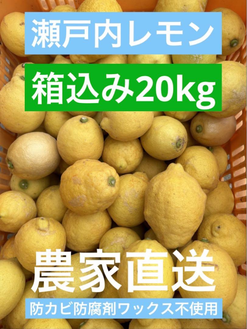 生活支援センター様専用 レモン100kg(2/5) 7/17