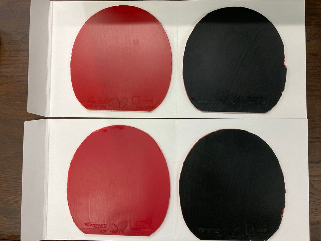 ディグニクス　テナジー