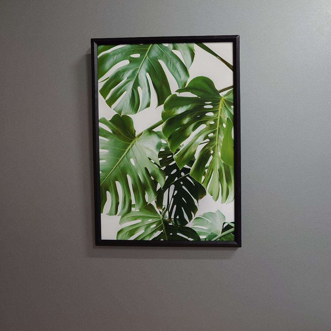 51mhDFXLaKL._UF350,350_QL80_.jpg