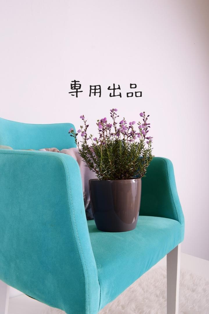 訳あり商品
shalom様専用 エコバッグ 訳あり商品
shalom様専用 エコバッグ