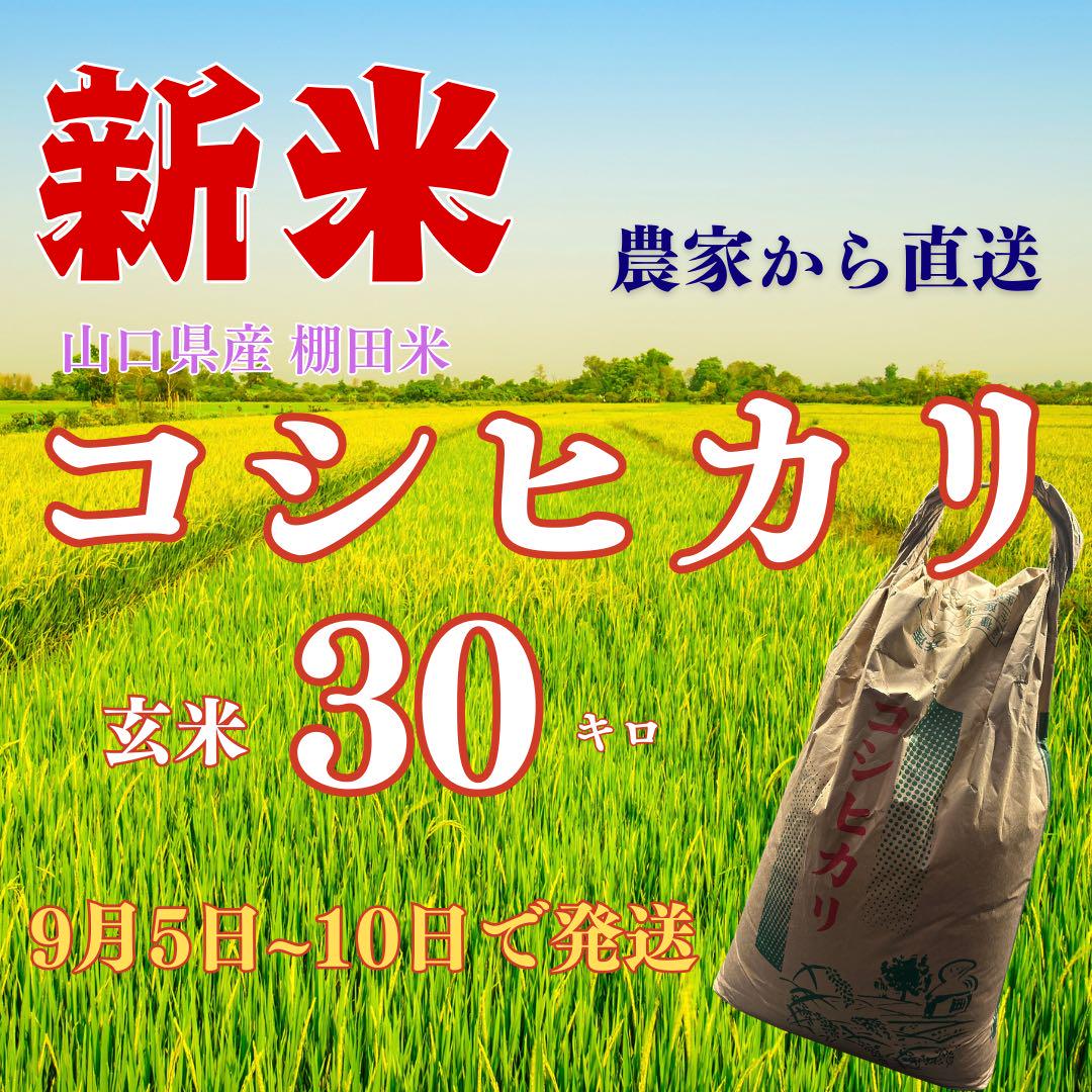 ゆきだるま様 専用 画像1