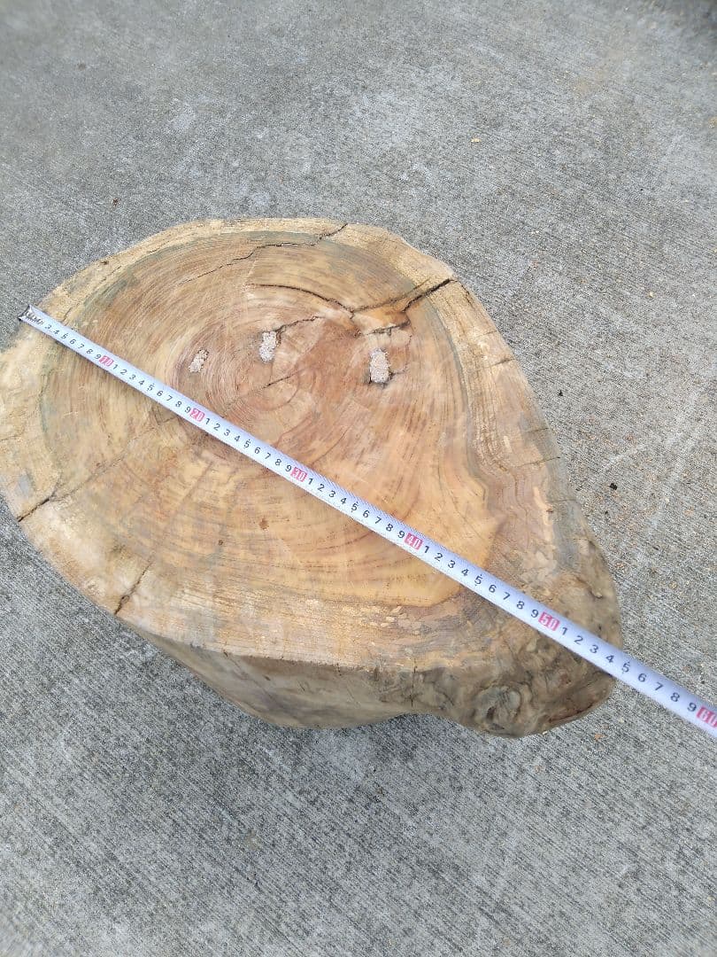 超巨大ケヤキ丸太2 【発送不可】 超巨大ケヤキ丸太2 【発送不可】