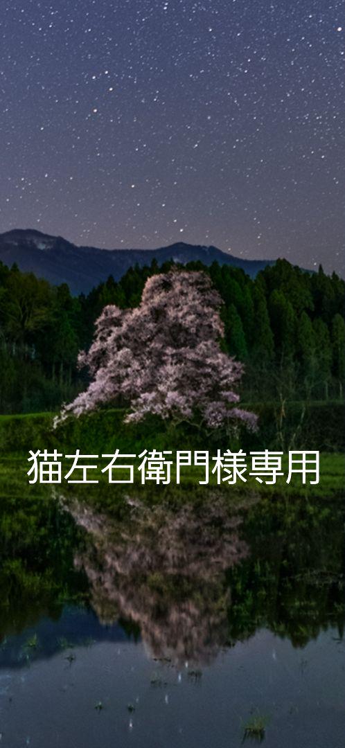 猫左右衛門様専用