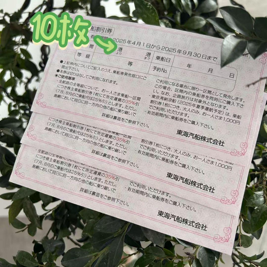 東海汽船 株主優待券10枚