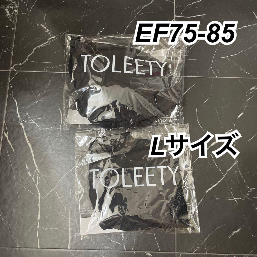 TOLEETY ブラジャーショーツセット EF75-85 ショーツL TOLEETYトゥリーティ/軽やかストレスフリーブラEF75-85＆