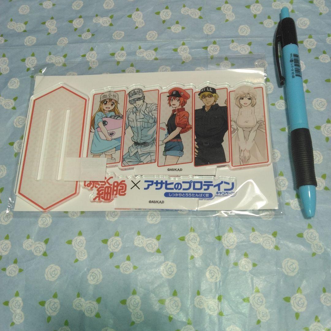 ☆はたらく細胞×アサヒプロテイン懸賞当選品・はたらく細胞