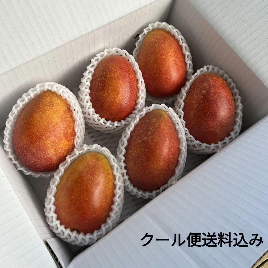 クール便送料込み‼️ 沖縄県産マンゴー 家庭用 2キロ - メルカリ