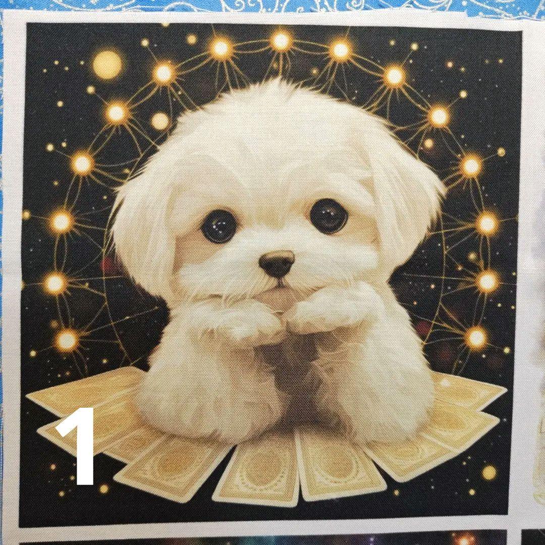 オーダーページハンカチ　カードワンコさん柄　7/15