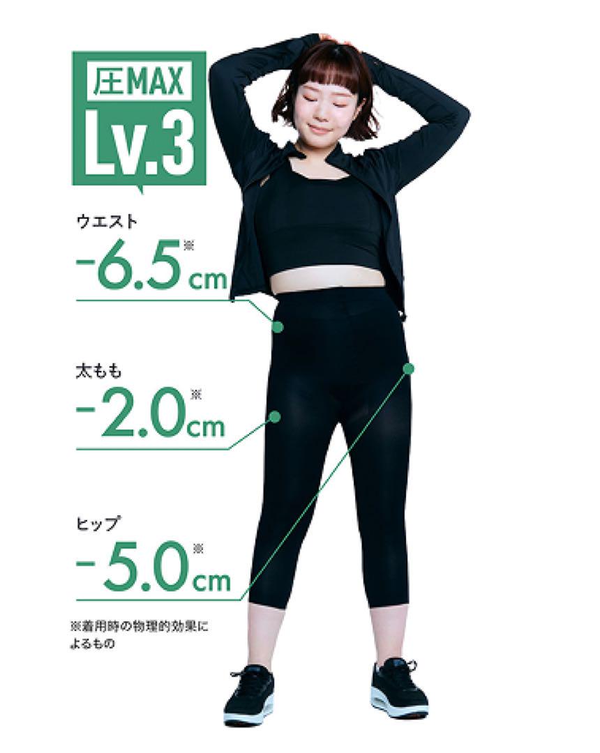 スリムレギンスプレミアム BELMISE（ベルミス）40hPa エレガントS34