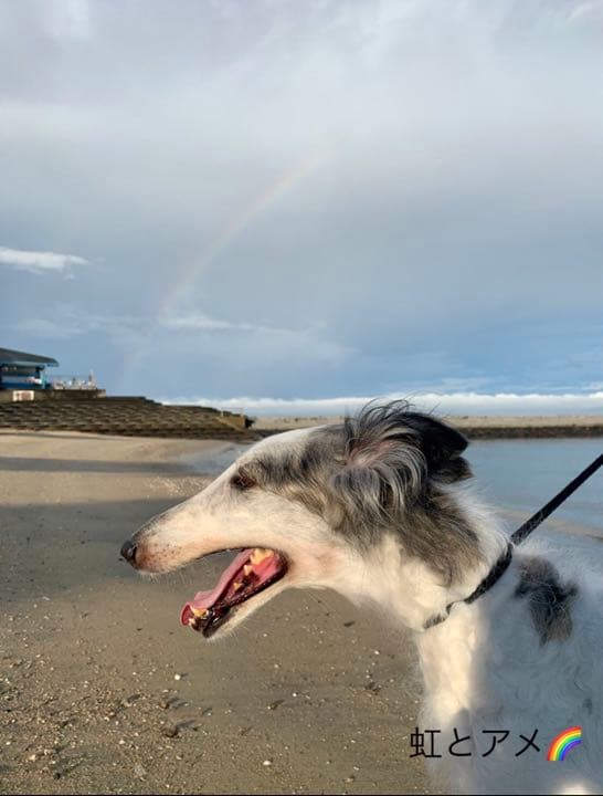 雨色様ご確認ページ ▽△ アトリエame-oto 水野雨音様ご確認ページ△▽ 雨音
