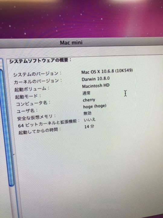 低価人気SALE Apple Mac mini 玄人志向外付けHDD500gb sBOIq-m55196609173 通販大特価