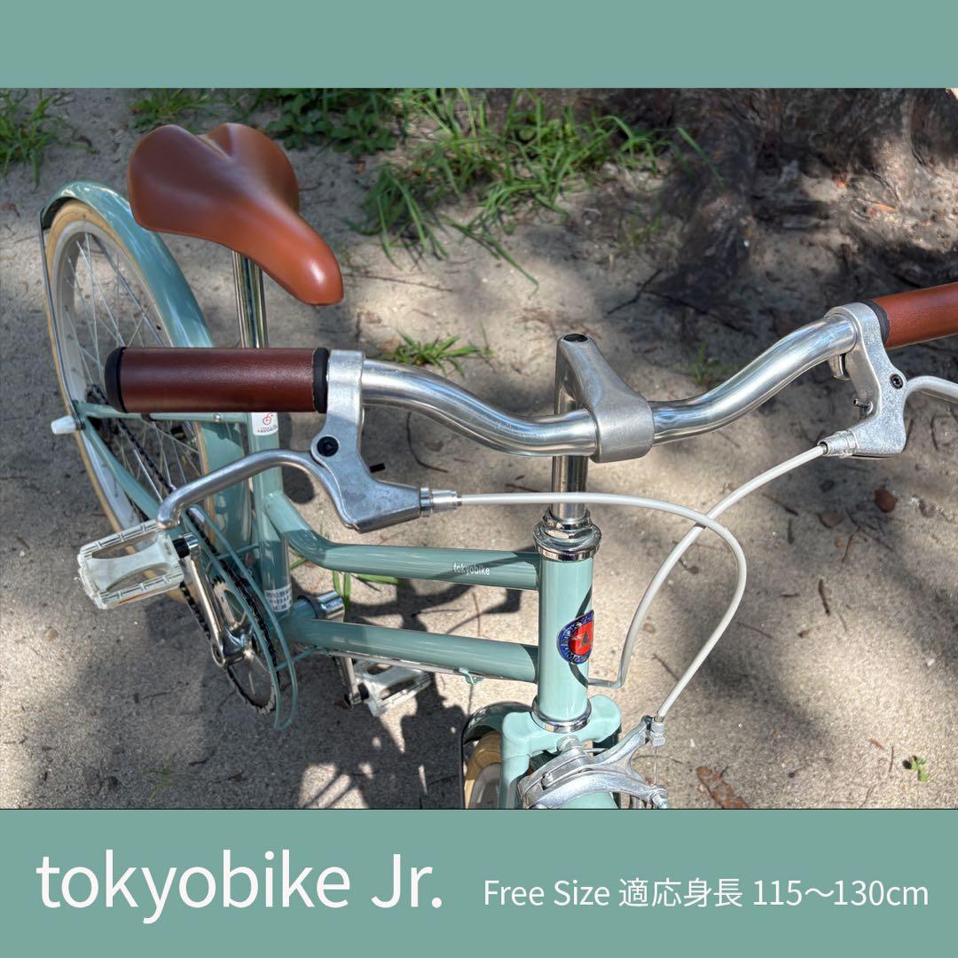 子供用自転車 ブルージェイド