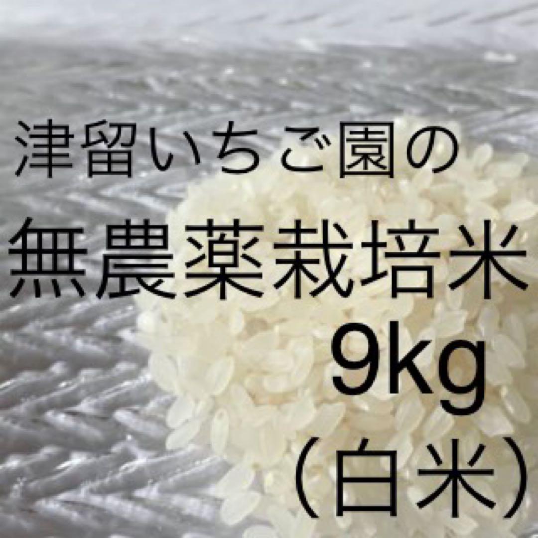 在庫 処分食品・飲料・酒 - 無農薬米 ヒノヒカリ 令和5年産 白米