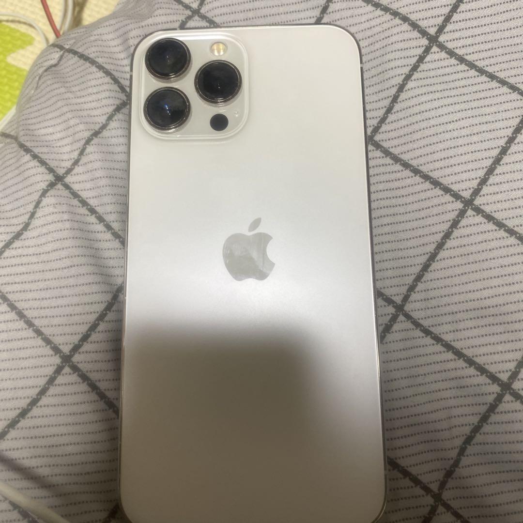 iPhone 13 Pro Max 1.02TB シルバー　海外版