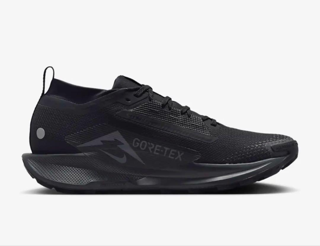 NIKE ペガサストレイル5