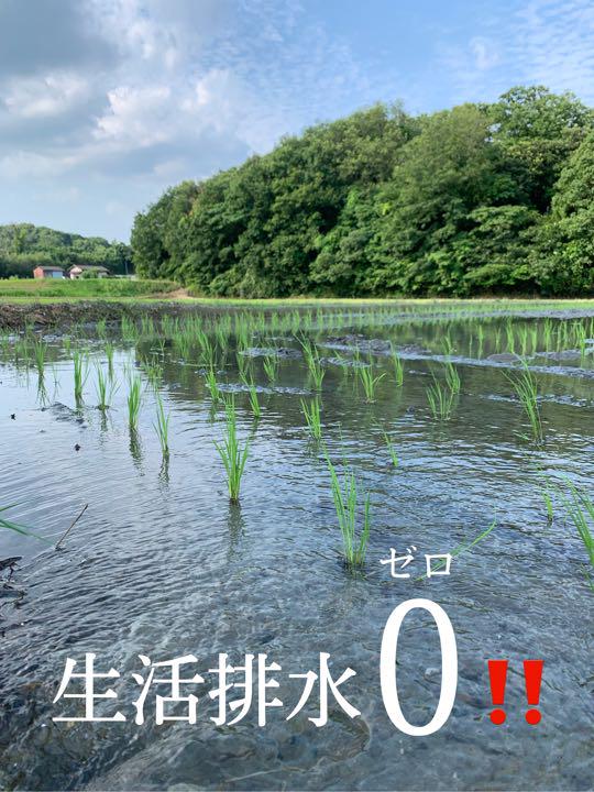 ホタル舞う熊本産お米25kg - メルカリ
