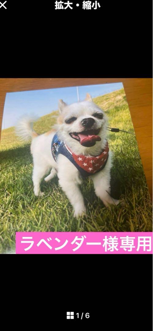 ひろ様オーダー専用