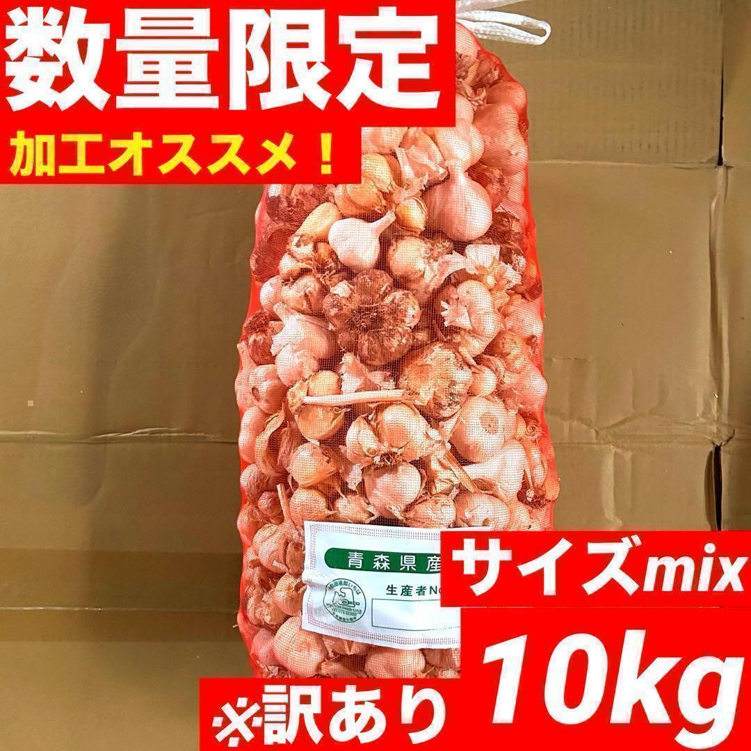 早い者勝ち】青森県産 にんにく 玉 10kg 福地ホワイト お得 訳