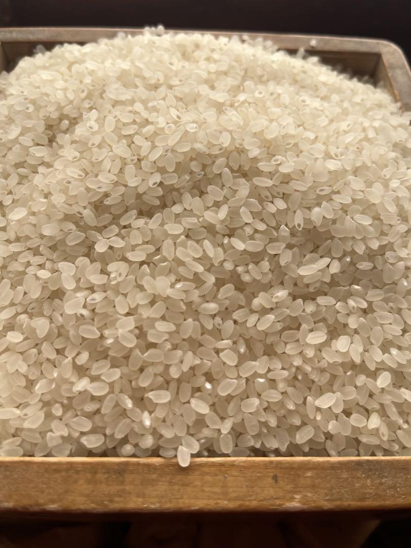 長野県産白米20kg 令和6年度産　2月精米済み