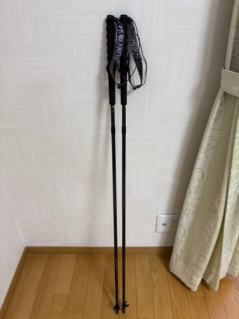 Answer4 Ultra Light Carbon Pole