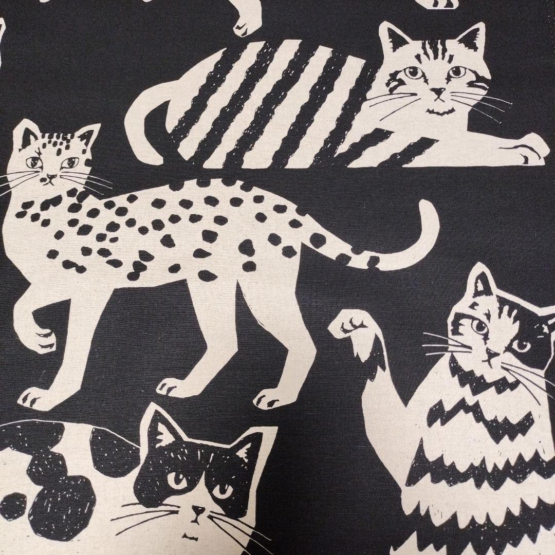 echino 古家悦子　CATCAT　黒地