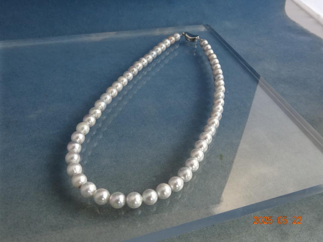 あこや真珠 （ 7.5-8ｍｍ）シルバーグレー　ネックレス
