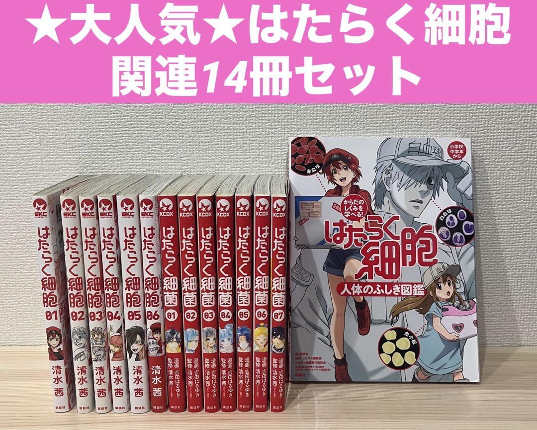 はたらく細胞　はたらく細菌　全巻セット＆はたらく細胞 人体のふしぎ図鑑