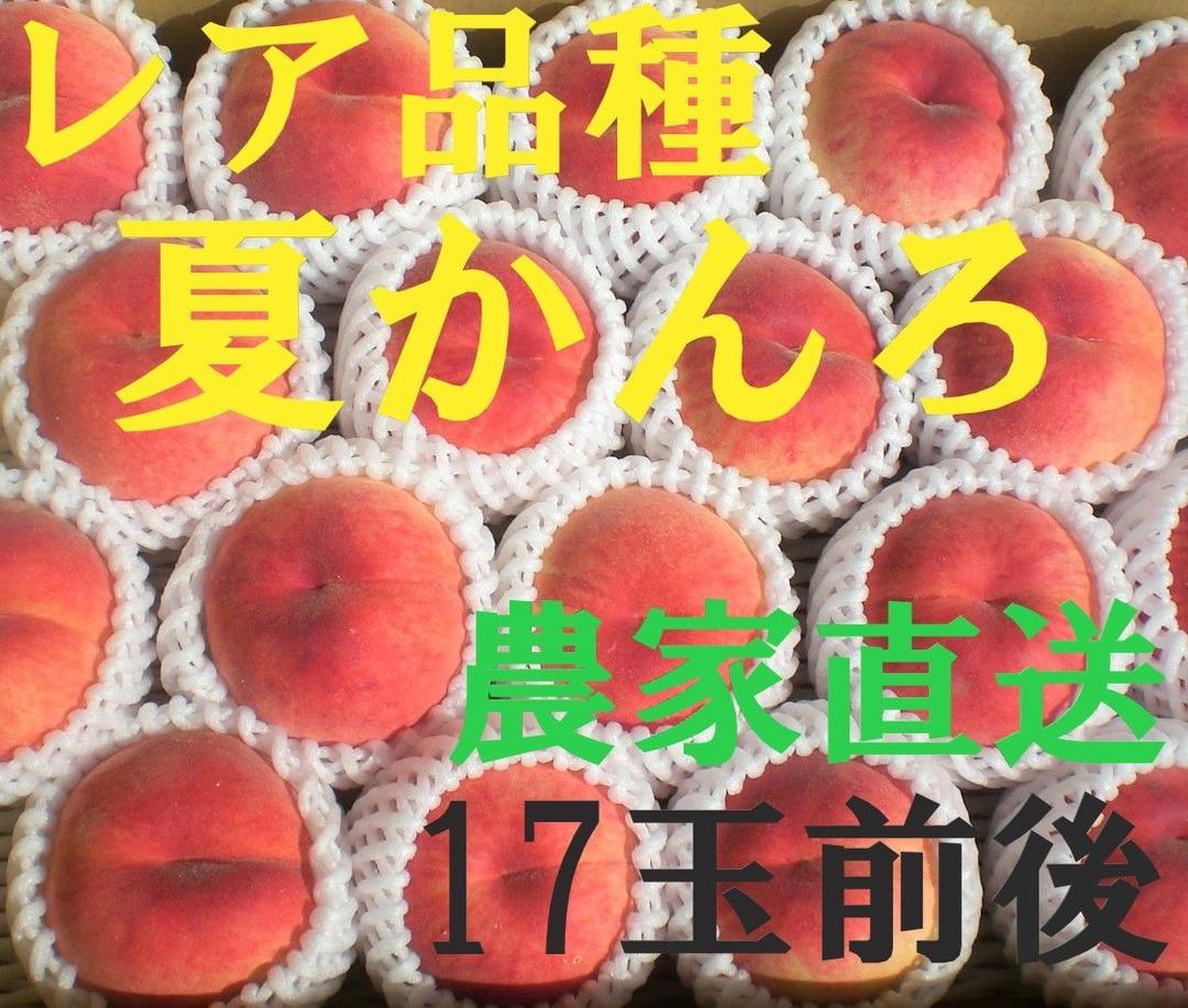 レア品種桃 夏かんろ 小玉 17玉前後 採れたて農家直送