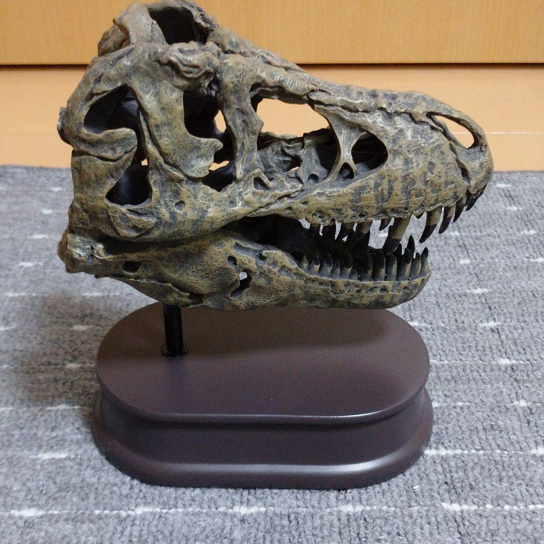 最終値下げ ティラノサウルス スカル&ジョーズモデル FEMqQ-m55426124824 新品未使用 恐竜 人気最安値