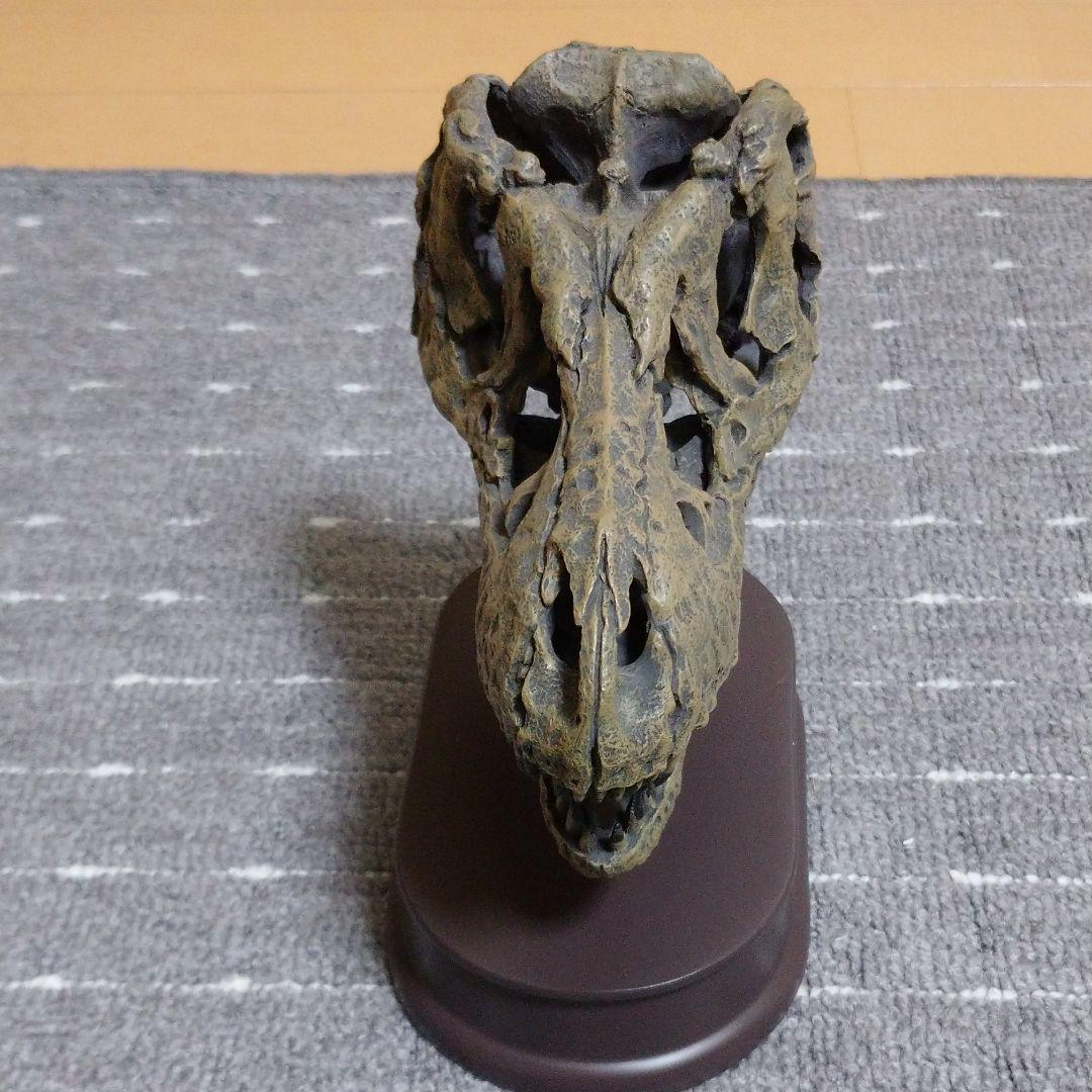 最終値下げ ティラノサウルス スカル&ジョーズモデル FEMqQ-m55426124824 新品未使用 恐竜 人気最安値