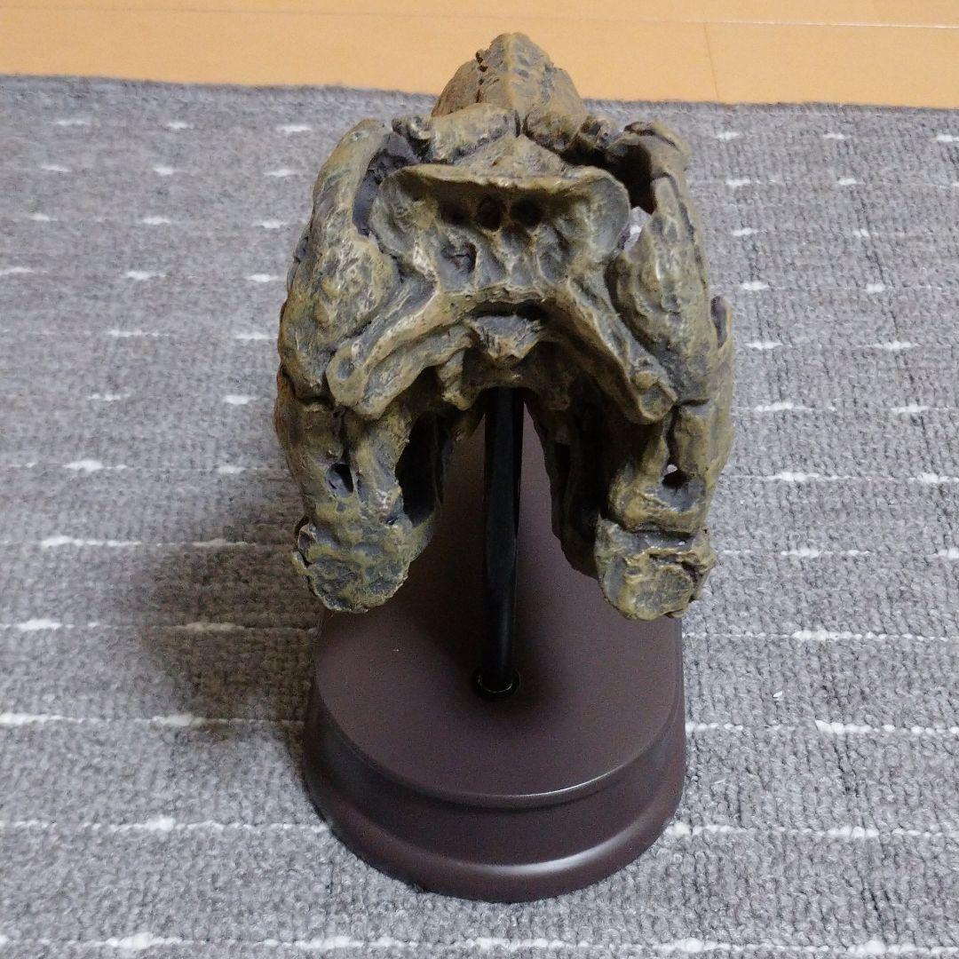 最終値下げ ティラノサウルス スカル&ジョーズモデル FEMqQ-m55426124824 新品未使用 恐竜 人気最安値