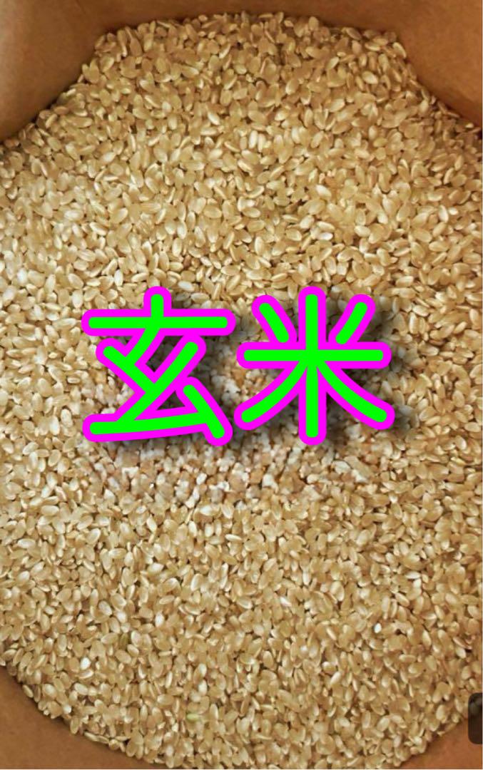 令和6年度 千葉県産 自慢のお米 ⭐︎ミルキークイーン⭐︎玄米10kg⭐︎