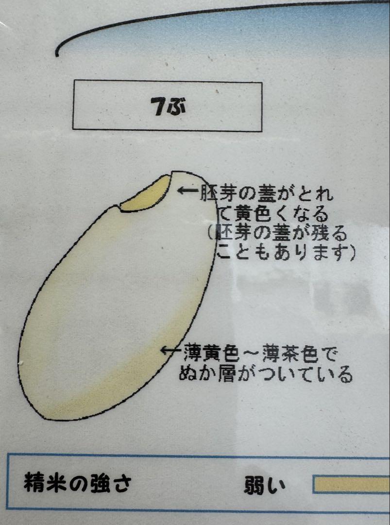令和6年度 千葉県産 自慢のお米 ⭐︎ミルキークイーン⭐︎玄米10kg⭐︎