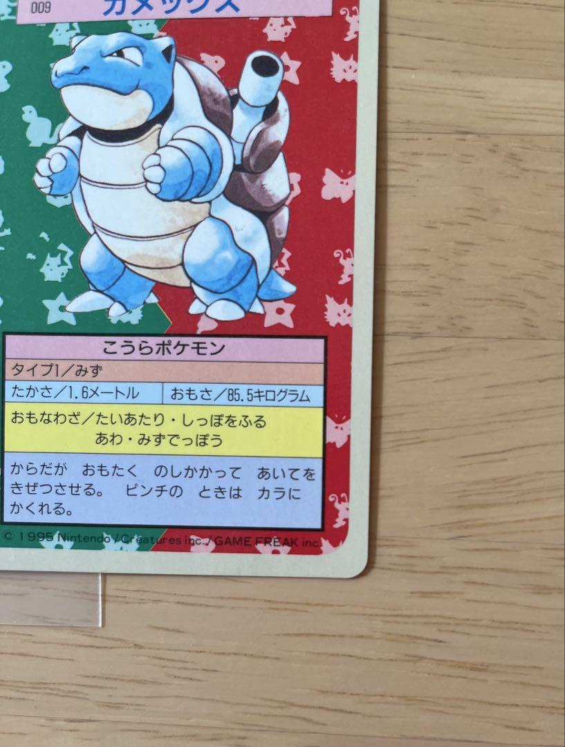 トップサン　裏青　カメックス ポケモンカード