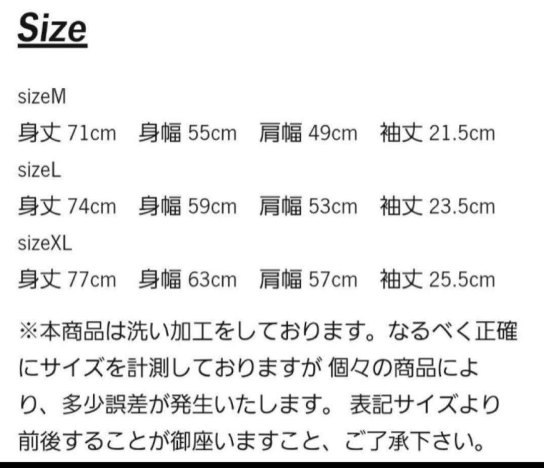 【新品】VAULTROOM nqrse DEVIL TEE / CHARCOAL