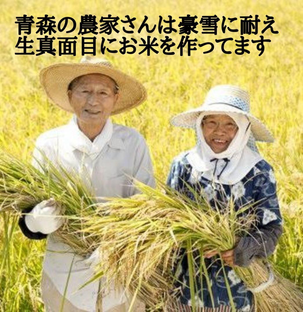 青森産米　まっしぐら 20キロ 精米25.05中旬　お米　白米　10kg×2