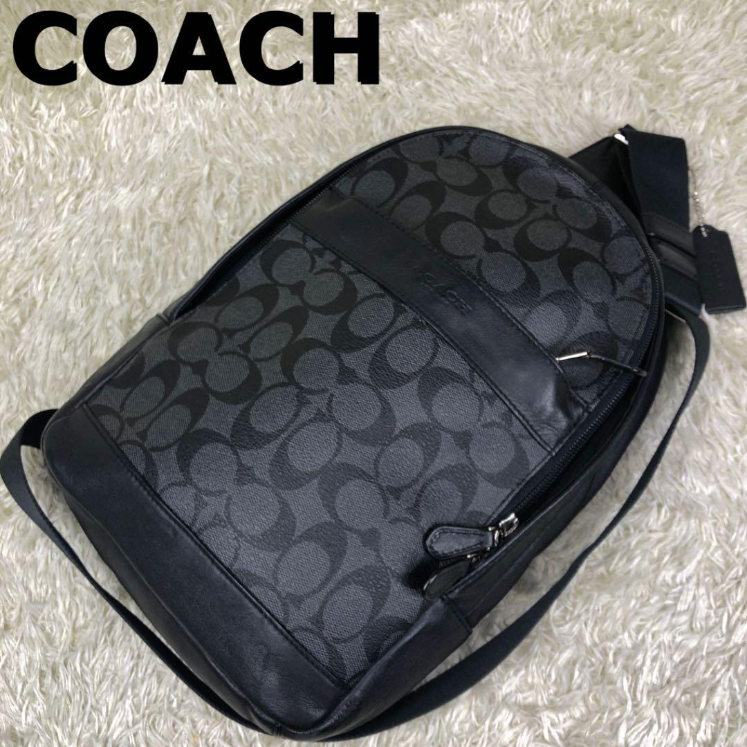 36%割引グレイ系【公式】 【美品】COACH メンズ ボディーバッグ シグネチャー F54787 ボディーバッグ バッグ グレイ系-CORRETORAVERAMENDES.COM.BR 36%割引グレイ系【公式】 【美品】COACH メンズ ボディーバッグ シグネチャー F54787 ボディーバッグ バッグ グレイ系-CORRETORAVERAMENDES.COM.BR