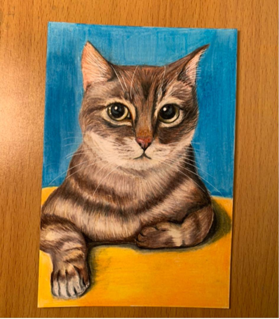 メルカリ 猫 イラスト 色鉛筆画 アート 写真 1 000 中古や未使用のフリマ メルカリ 猫 イラスト 色鉛筆画 アート 写真 1 000 中古や未使用のフリマ