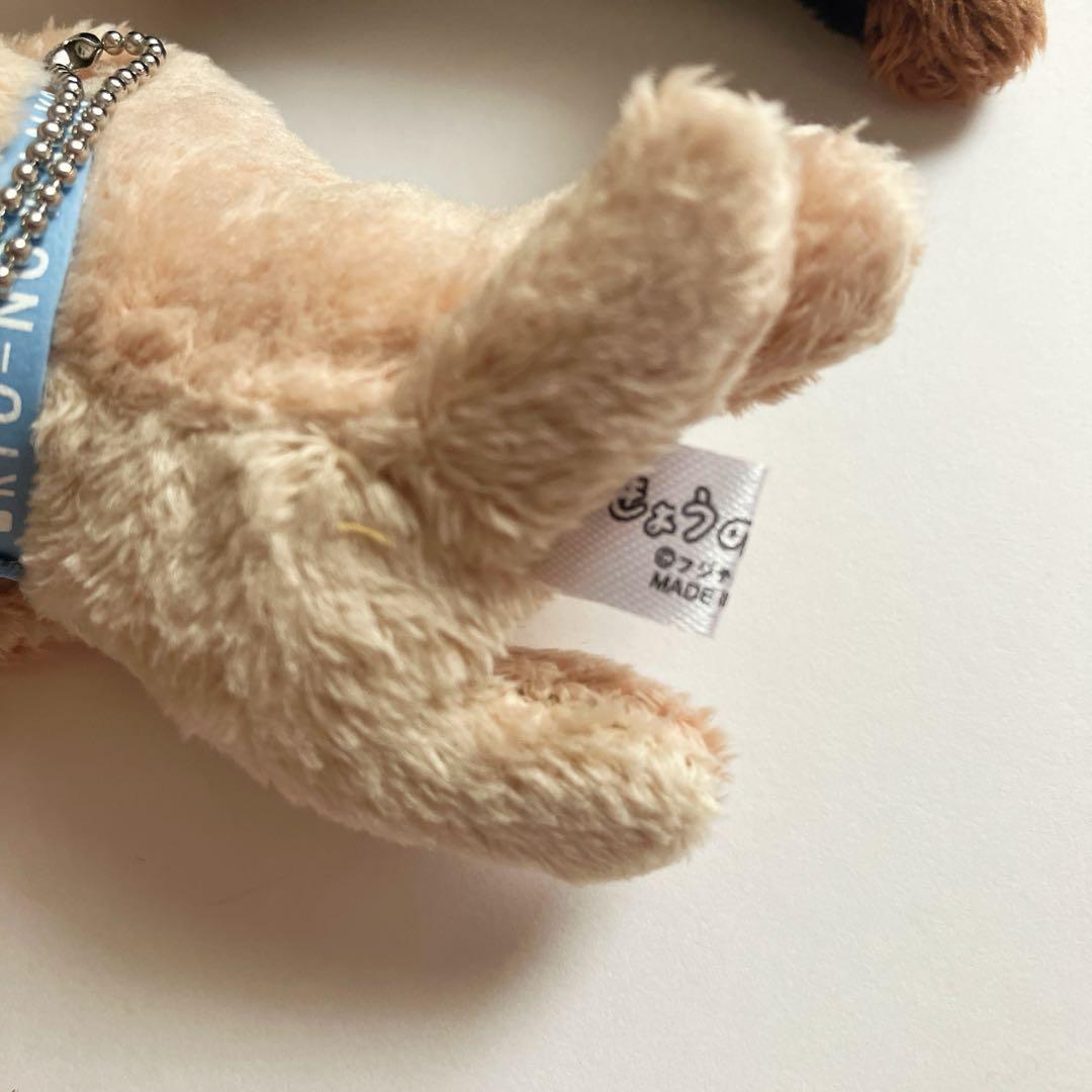 フジテレビ きょうのわんこ ぬいぐるみ キーホルダー 限定品