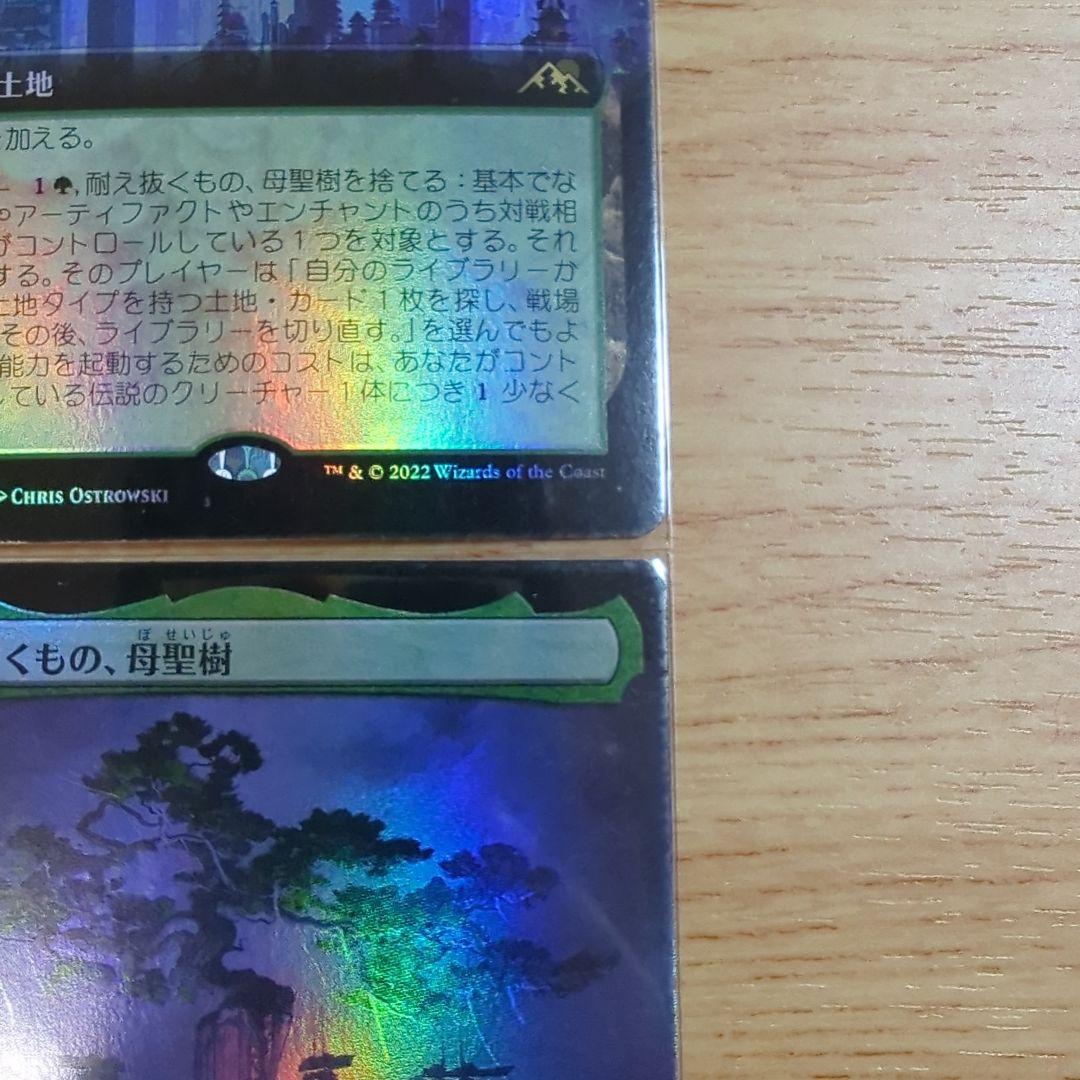 MTG 耐え抜くもの、母聖樹 拡張 foil 日日日日