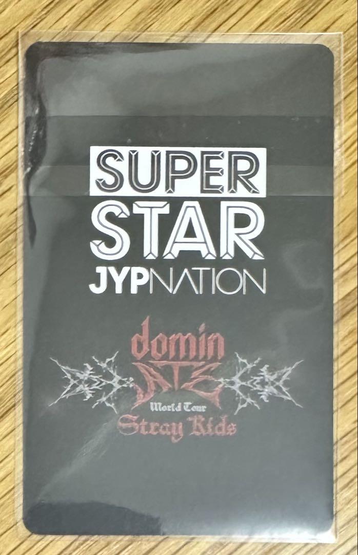 straykids ストレイキッズ スキズ ssjyp シュスジェ チャンビン