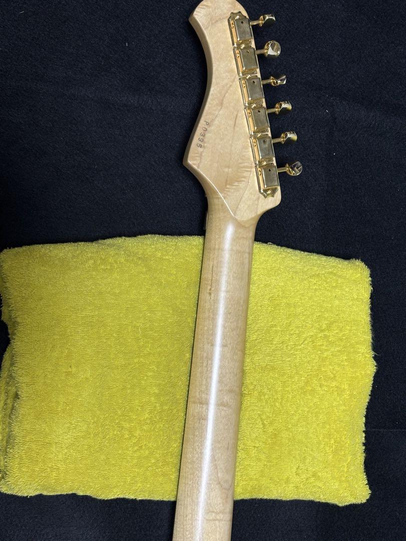 バッカス ストラトタイプ HSH