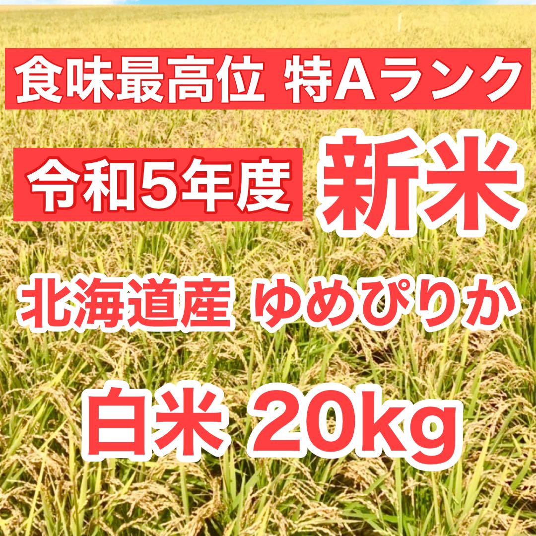 令和5年産 新米 北海道米 ゆめぴりか 白米 20kg 送料無料 ブランド米