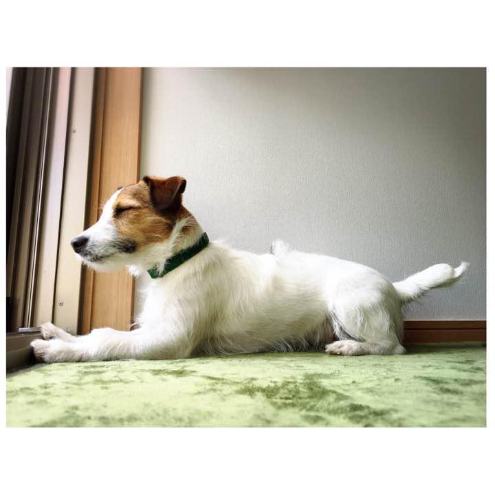 国産超激安 Couture 様専用 gqo7d-m55534148914 Eric. 超歓迎国産